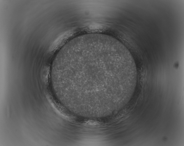 X0000116770742201001071216