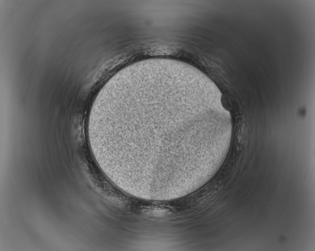 X0000116770743201001071216