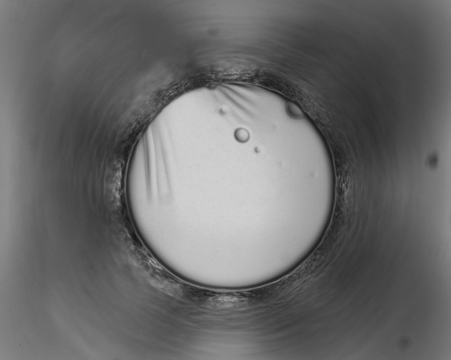 X0000116770745201001071216