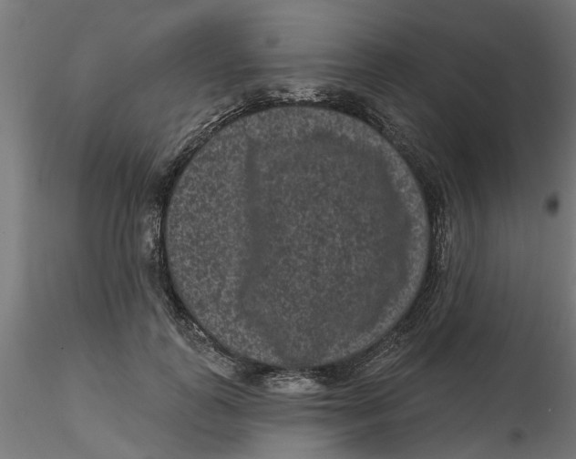 X0000116770747201001071216