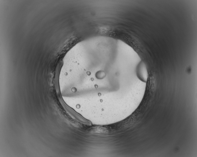 X0000116770750201001071216