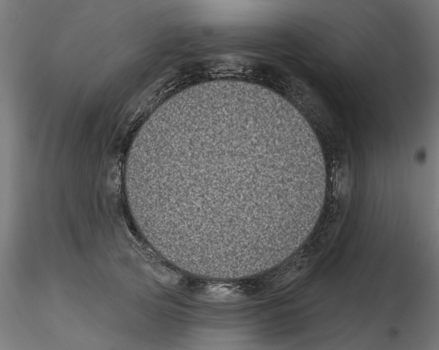 X0000116770753201001071216