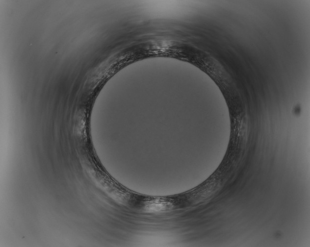 X0000116770754201001071216