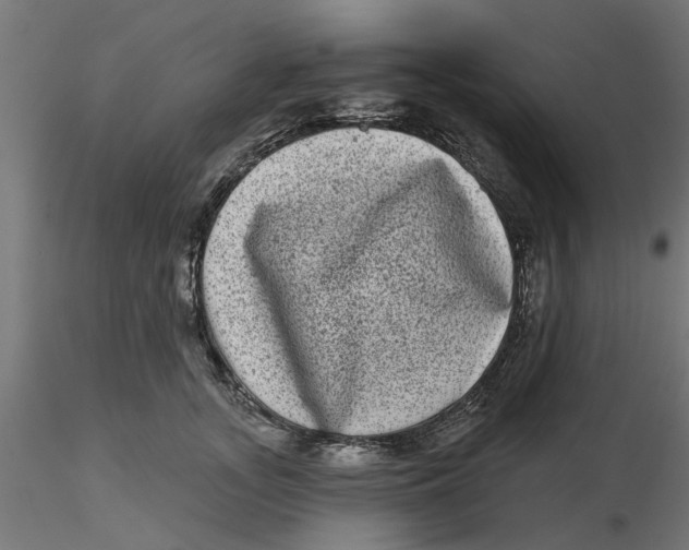 X0000116770755201001071216