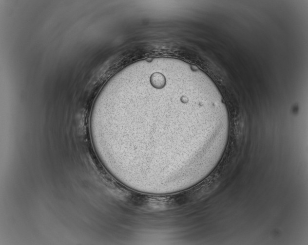 X0000116770757201001071216