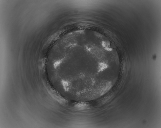 X0000116770759201001071216