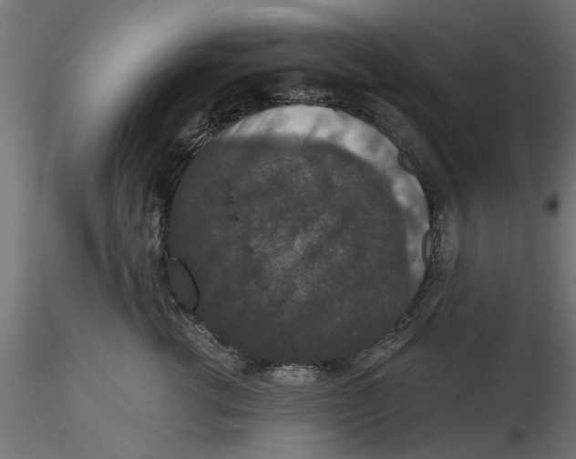 X0000116770762201001071216