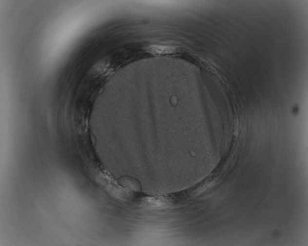 X0000116770763201001071216