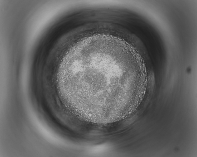 X0000116770765201001071216