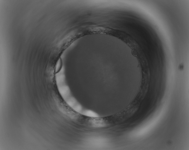 X0000116770767201001071216