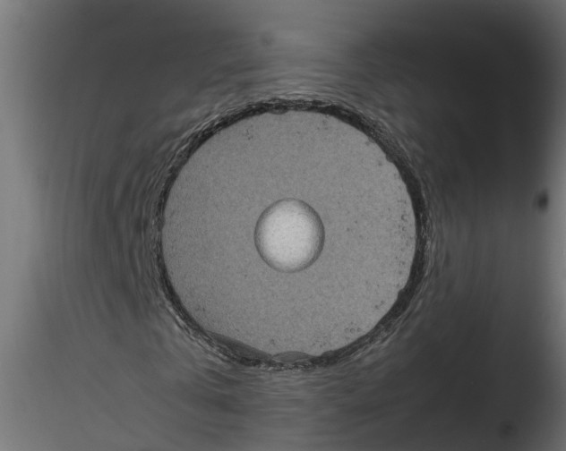 X0000116770769201001071215