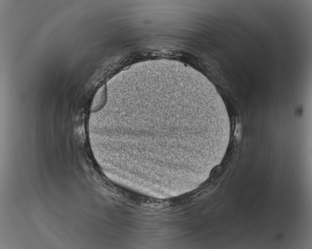 X0000116770771201001071215