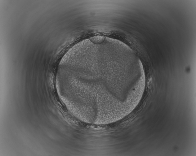 X0000116770772201001071215