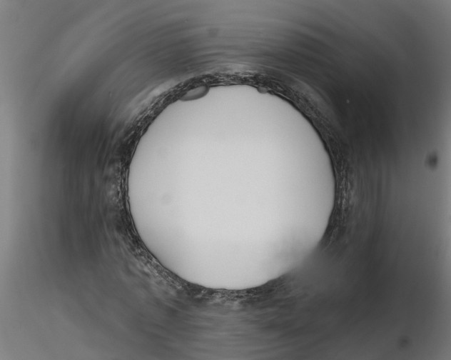 X0000116770773201001071215