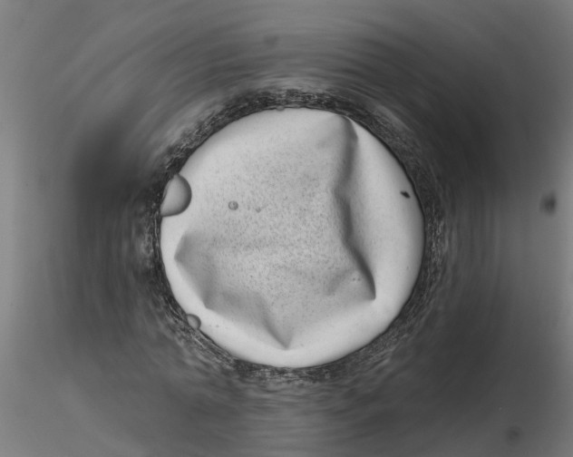 X0000116770774201001071215