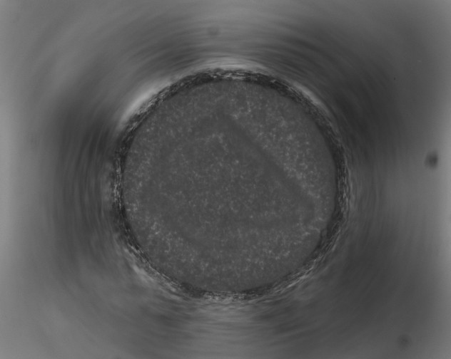 X0000116770775201001071215