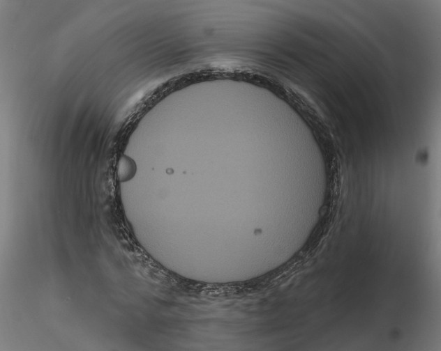 X0000116770776201001071215