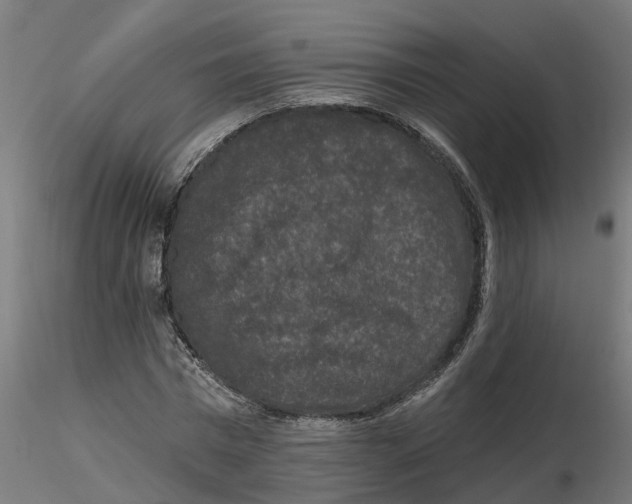 X0000116770777201001071215