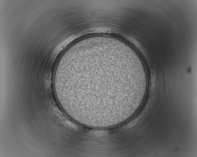 X0000116770778201001071215