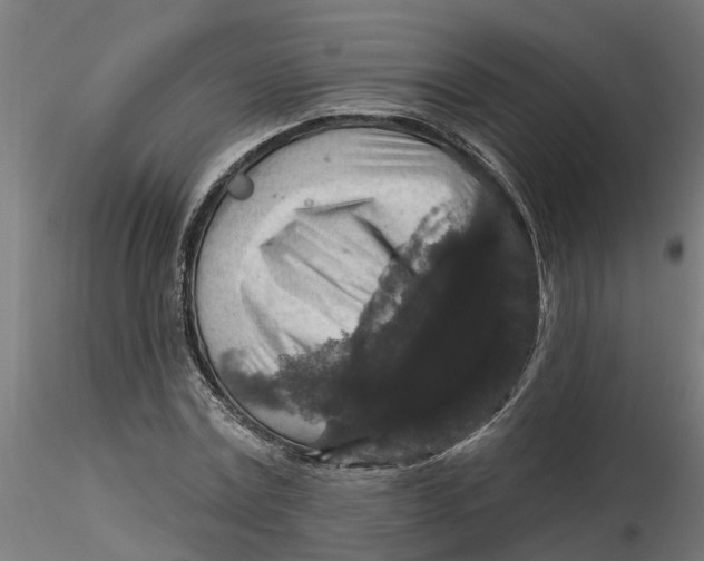 X0000116770779201001071215