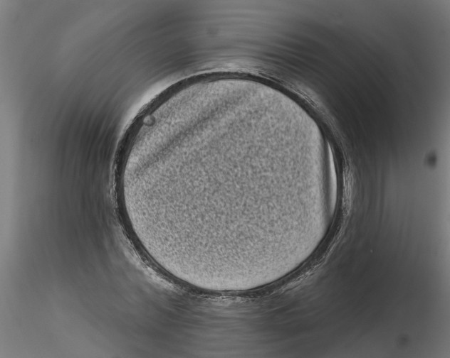 X0000116770780201001071215