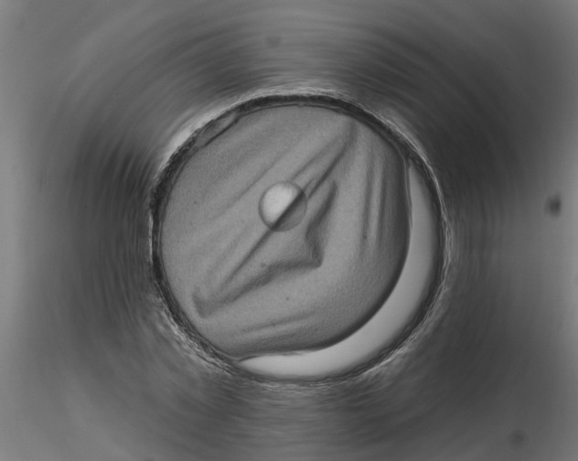 X0000116770781201001071215