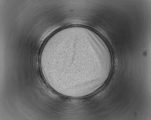 X0000116770782201001071215