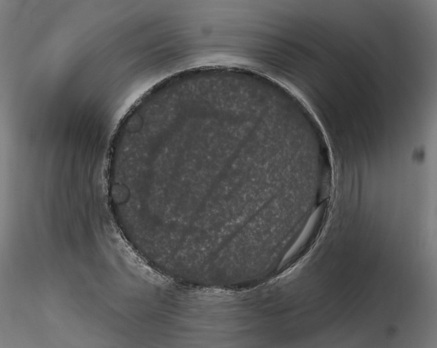 X0000116770783201001071215