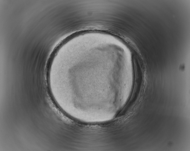 X0000116770784201001071215