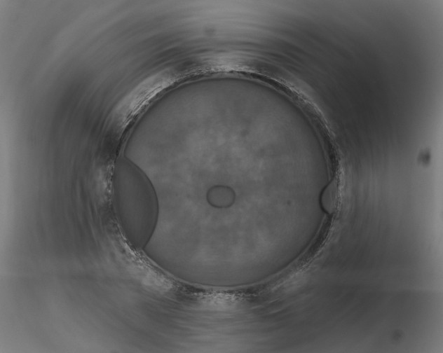 X0000116770785201001071215