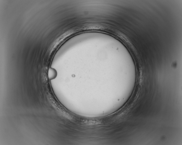 X0000116770786201001071215