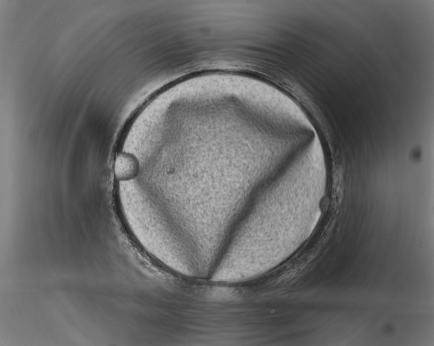 X0000116770787201001071215