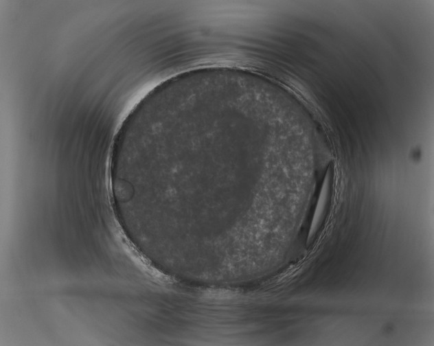 X0000116770788201001071215