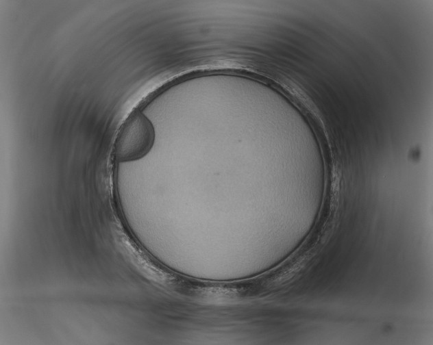 X0000116770789201001071215