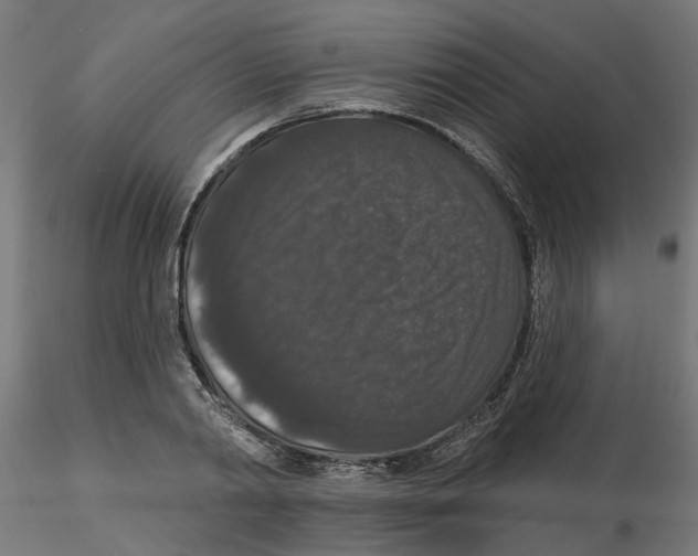 X0000116770790201001071215