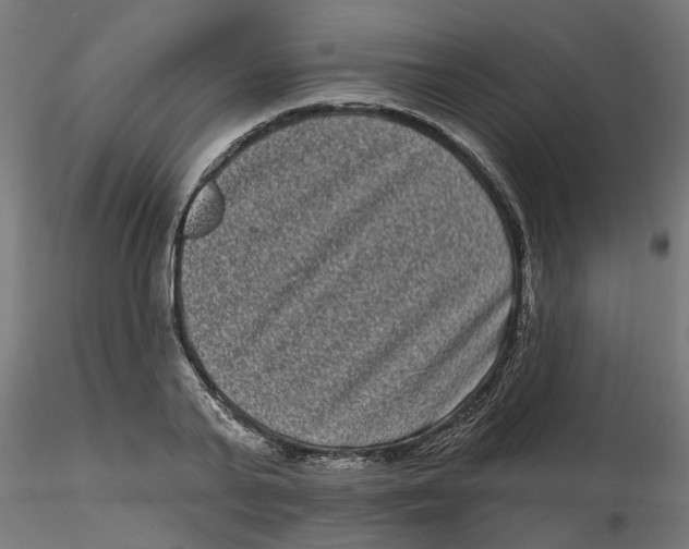 X0000116770791201001071215