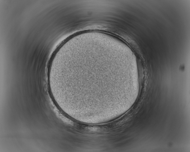 X0000116770792201001071215