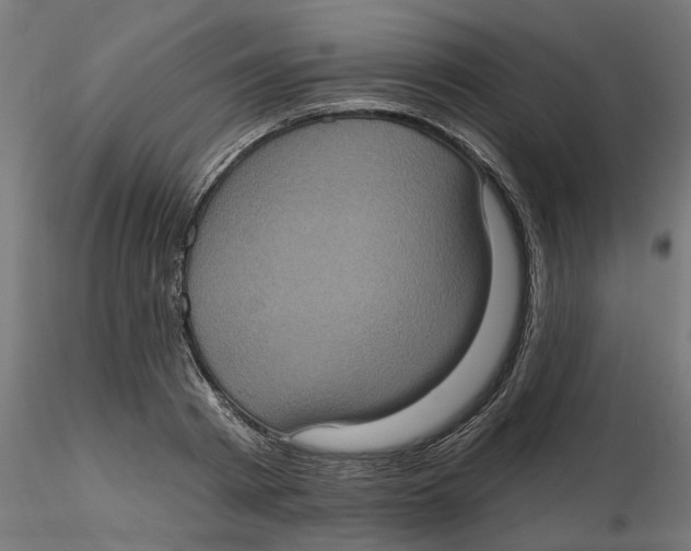 X0000116770793201001071215