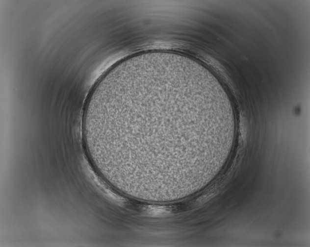 X0000116770794201001071215