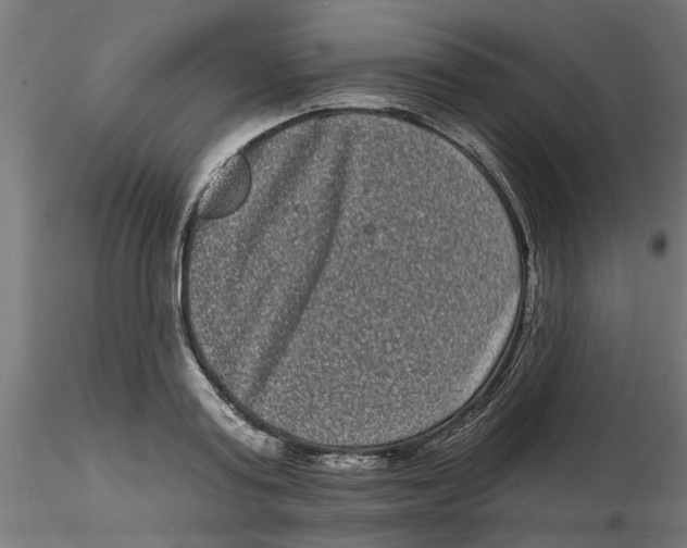 X0000116770795201001071215