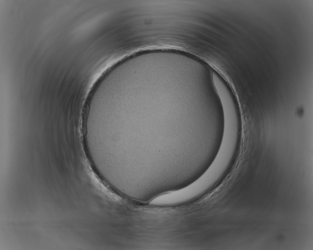 X0000116770797201001071215