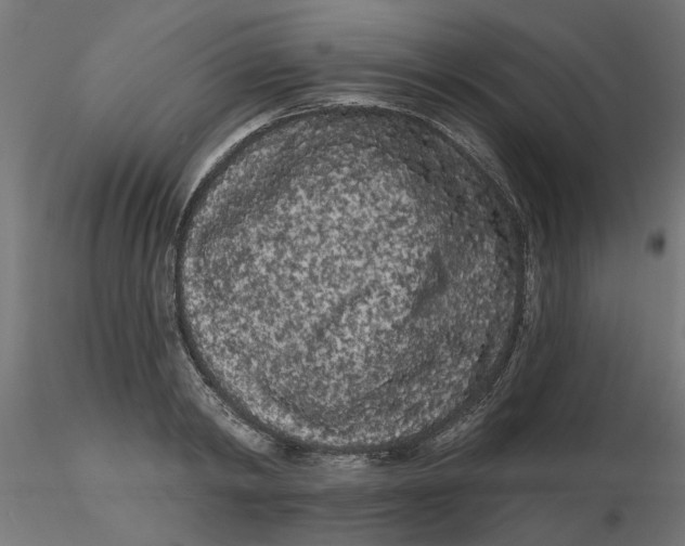 X0000116770798201001071215