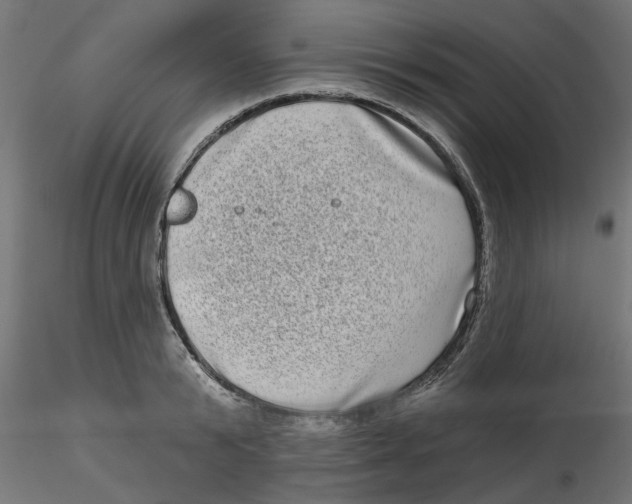 X0000116770799201001071215