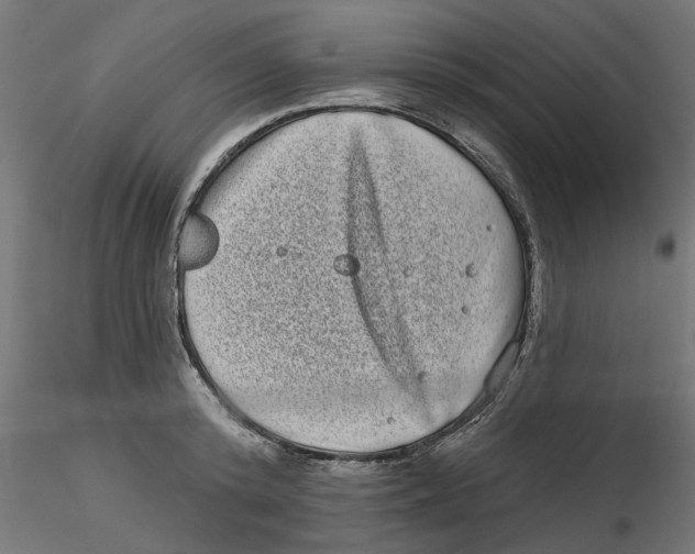 X0000116770800201001071215