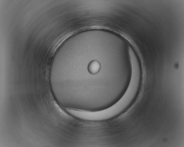 X0000116770801201001071215