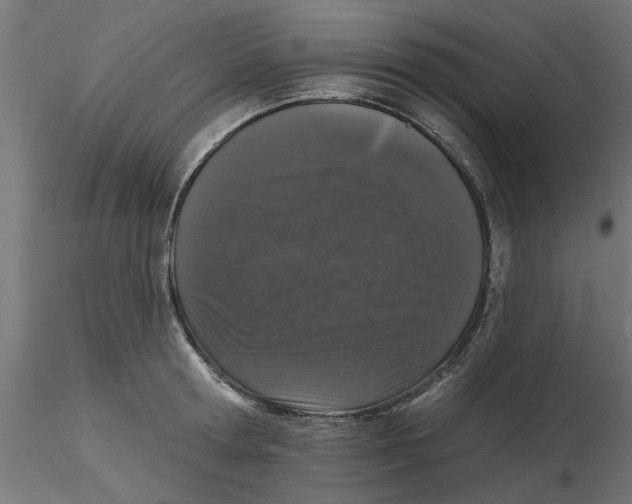 X0000116770802201001071215