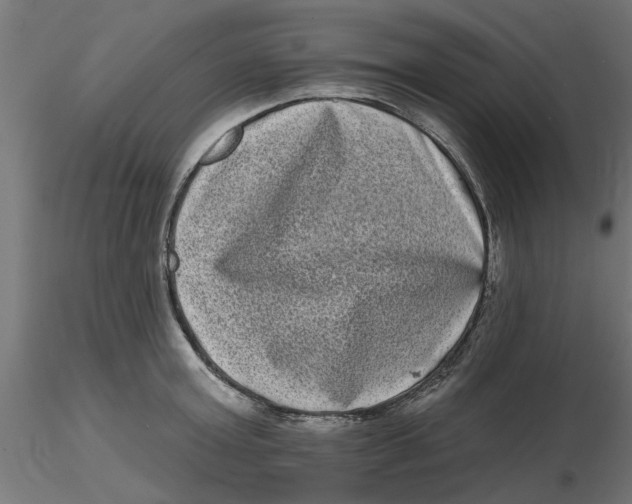 X0000116770803201001071215