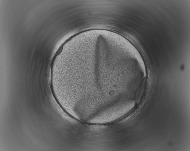 X0000116770804201001071215