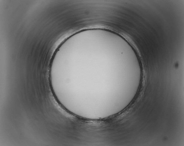 X0000116770805201001071215