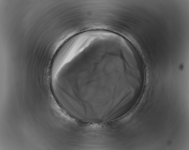 X0000116770806201001071215